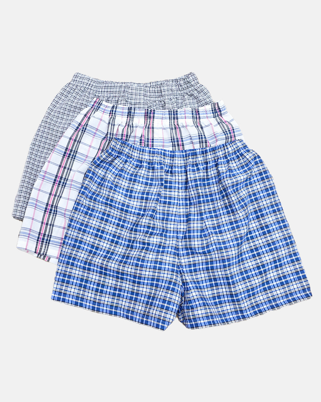 Boxer a cuadros