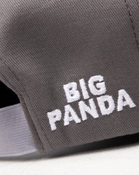 Gorra Big Panda